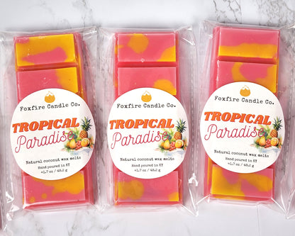 Tropical Paradise Wax Melt Bar 🌴🍍